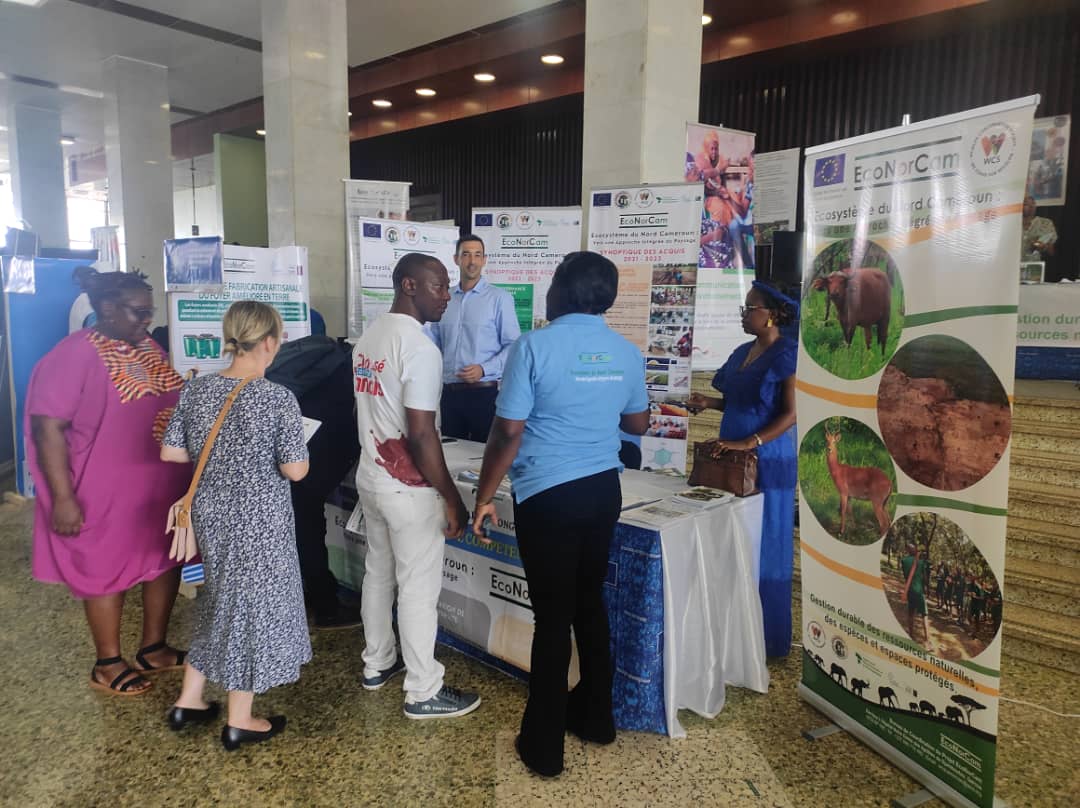 Forest4dev's tweet photo. Journée de l’Europe 2023. @Forest4dev présent pour la vulgarisation des acquis de ses actions de promotion des innovations agro-forestières et agricoles et d’agriculture résiliente au changement climatique. #EcoNorCam @UEauCameroun
#TeamEurope #Cameroun #SKILLSDEVELOPEMENT https://t.co/wk971S19M6
