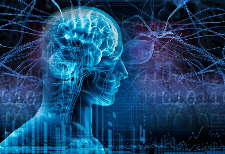 Quantumqlogos's tweet photo. Quantum machine learning is unlocking new insights in fields like finance and healthcare. 💰💉 #QuantumMachineLearning #Finance #Healthcare 
https://t.co/kJ3WhkT9jX https://t.co/covHD4X8HK