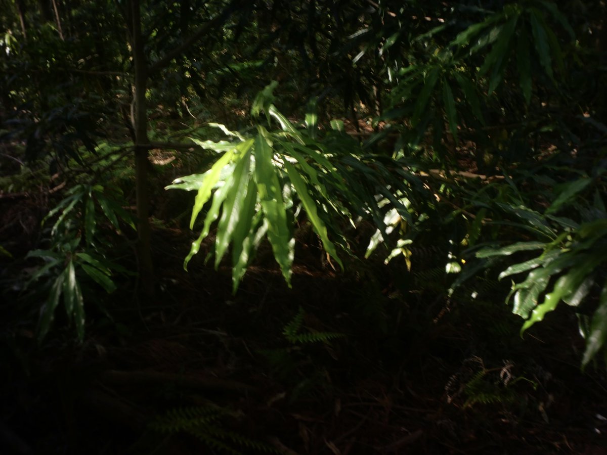 はっちょ (@hacchanno) on Twitter photo 