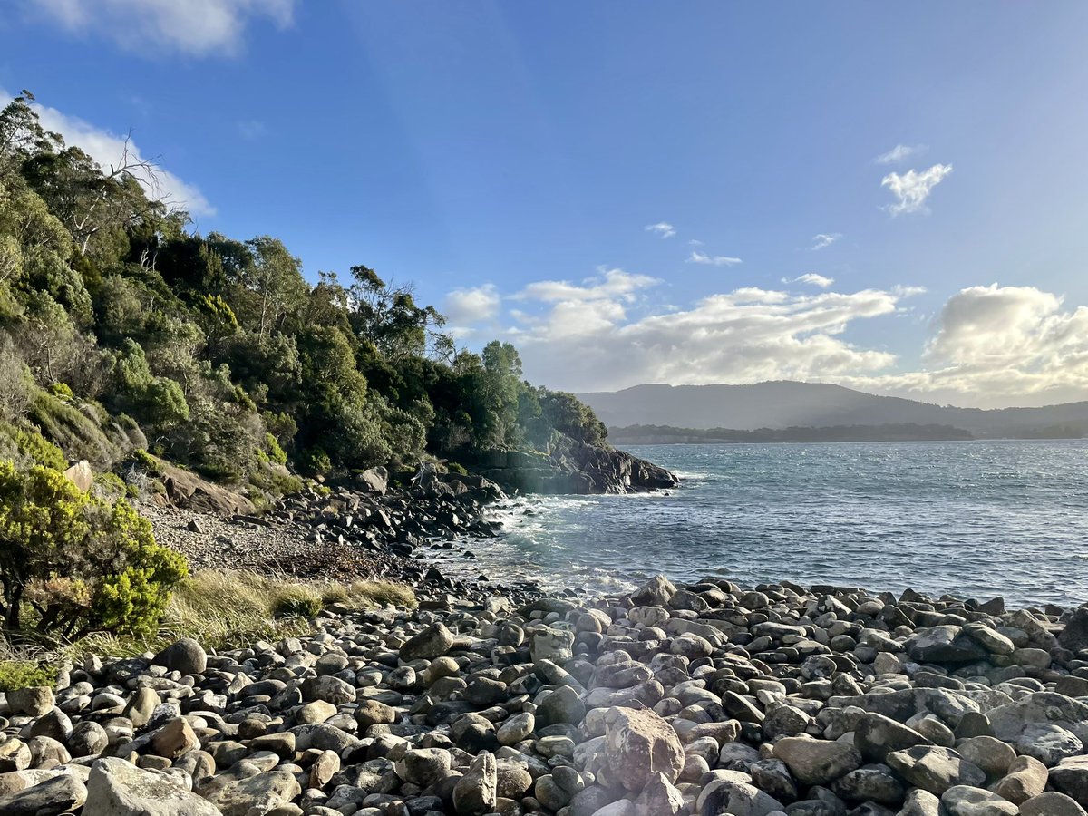 Dr_AnnaM's tweet photo. My first big adventure post-surgery! A local hike doing #ThreeCapesTrack solo. Very civilised re-entry to #bushwalking: boat trip to the trailhead, sleeping huts, proper kitchens, and better phone signal than expected. Day 1 done 😊🥾 #ACHD https://t.co/pNcFxwMVjU