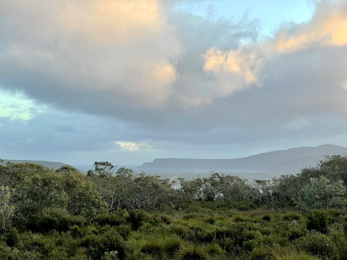 Dr_AnnaM's tweet photo. My first big adventure post-surgery! A local hike doing #ThreeCapesTrack solo. Very civilised re-entry to #bushwalking: boat trip to the trailhead, sleeping huts, proper kitchens, and better phone signal than expected. Day 1 done 😊🥾 #ACHD https://t.co/pNcFxwMVjU