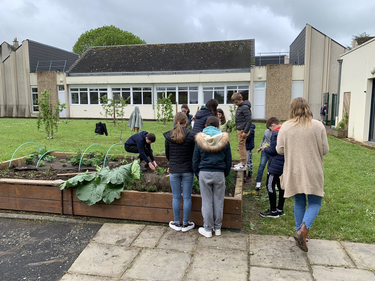 Les écodélégués continuent les plantations dans le jardin pédagogique. Bourrache, estragon, menthe poivrée, coriandre,safran, origan 🌿. Merci à notre service civique pour son énorme investissement.