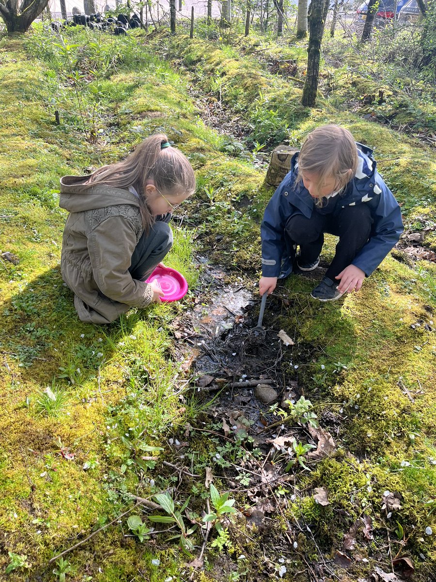 carmondean_ps's tweet photo. Primary 3 had a super time participating in outdoor learning activities with West Lothian College students. We were bug hunting, painting, planting and drawing 🐌🪲🪱 @WestLoCollege @MissRaffertyCPS https://t.co/8r4GWgo1Go