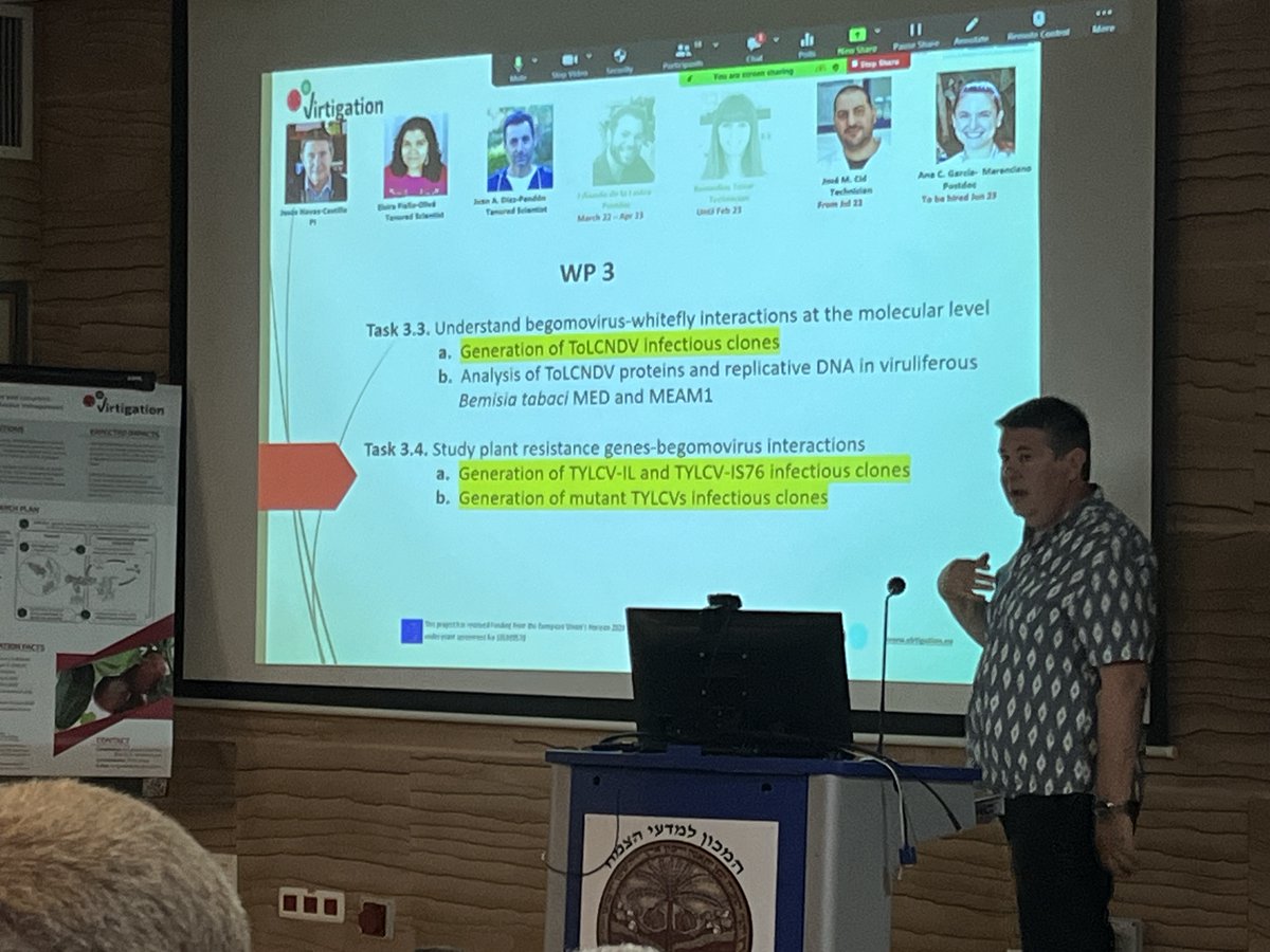 virtigation's tweet photo. In our research plan focus on #PlantVirusVector Interactions, #VIRTIGATION scientists provided the latest updates in moving towards identifying #ToBRFV #ToLCNDV and #TYLCV resistant #plant varieties 
#H2020 #EUfunded #PlantHealth #FoodSecurity https://t.co/BeoCpg1tO1