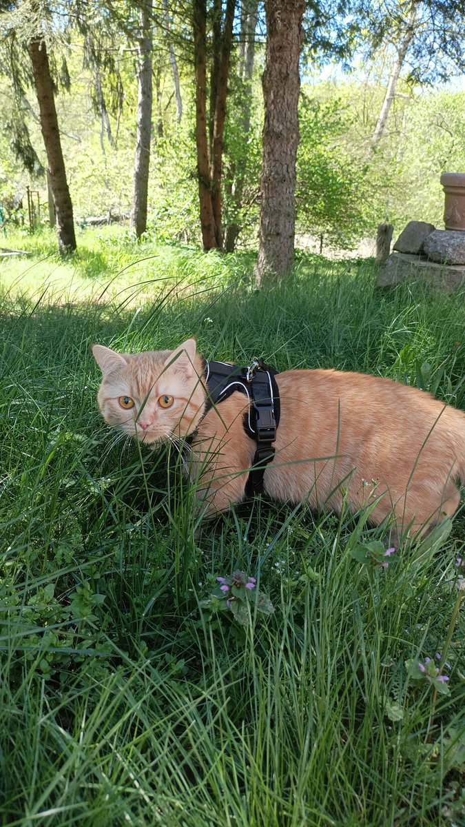 NCocom7's tweet photo. Mahlzeit,
genießt das Wetter.! wir sehen uns 
morgen wieder zur gewohnten Zeit... https://t.co/Fcdu39VSgw