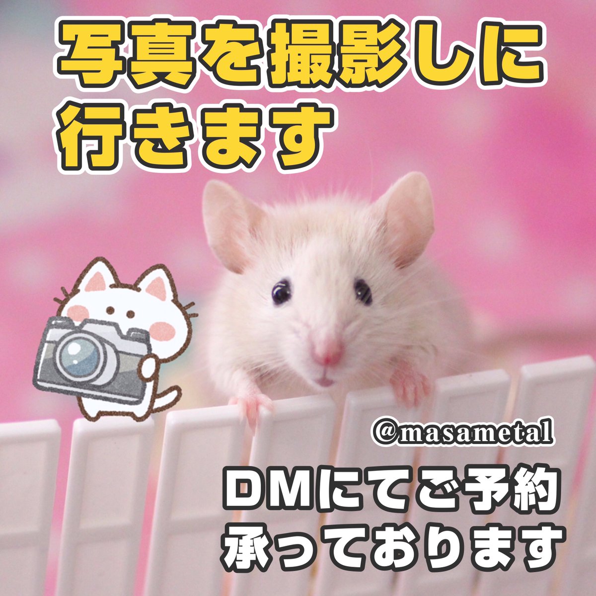 masametal's tweet image. 撮影料金を期間限定で値下げしました。この機会にぜひ😊✨
●人物→ 8000円+交通費
(6時間以内、人数制限なし)
●ペット→ 2500円+交通費
(3時間以内、ペット数制限なし)
電車バス等で片道2時間以上かかる場合はどちらも+2500円
交通費【荻窪駅からの往復交通費】