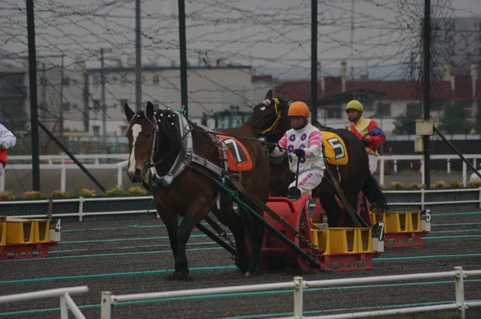 #GWを写真4枚で振り返る  爆走北海道ウマの旅