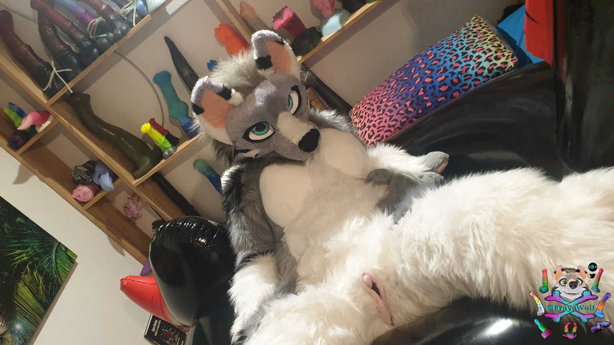 FrayaWolf's tweet photo. Well? 😘 https://t.co/2unwzCDOCj
