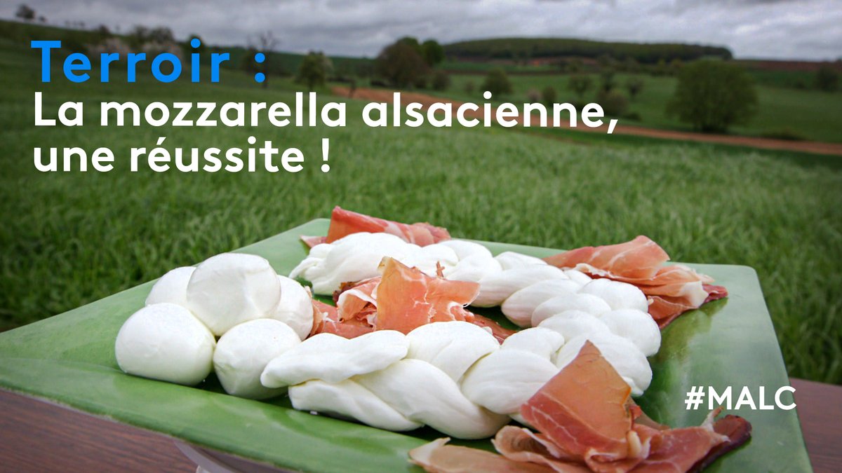 Meteoalacarte's tweet photo. #MALC a testé pour vous : la 2e meilleure mozzarella française ! 🧀🇫🇷 On la doit à Mickaël et Sophie qui la produise depuis 2018 en @Alsace grâce à leur élevage de bufflonnes 🐄

Replay👉https://t.co/nuKwUgez9U

#MALC @France3tv @F3Alsace https://t.co/XJ2JlS3IHI