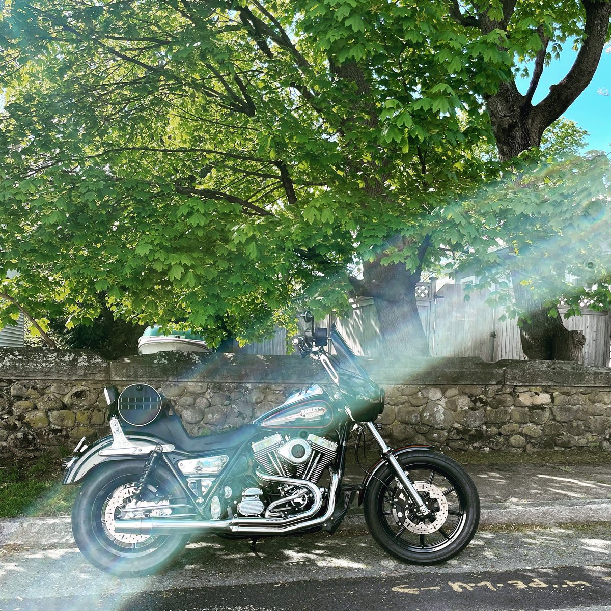 thinkpainting's tweet photo. Tuesday get out and ride while #America is still free. @harleydavidson #fxrs #freedom #ElectricCars 🤮#Veterans https://t.co/4TKIQNSCIA