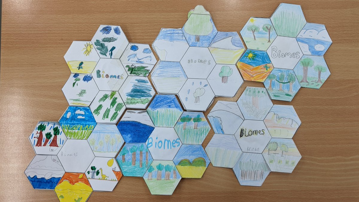 Fraserburgh_ASL's tweet photo. In our in BGE classes with @ELiveseyScience we've been learning about #biodiversity through the production of "lift the flap" biome flowers detailing the different characteristics of a variety of #Biomes @FraserburghAcad @BrochSci https://t.co/eRbeRCdhHI
