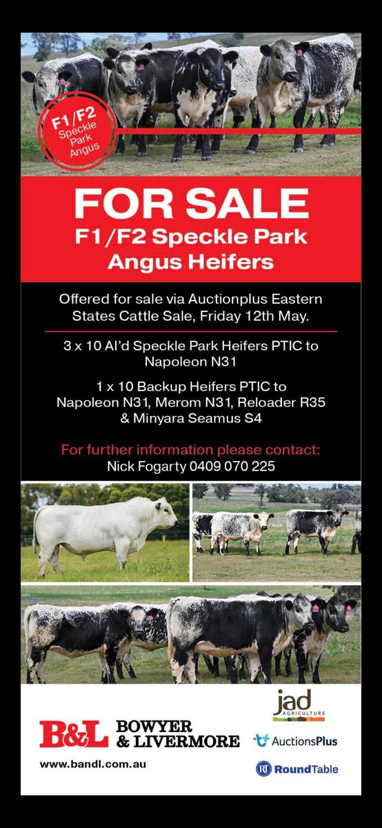 Bowyer & Livermore (@bowyerlivermore) on Twitter photo 