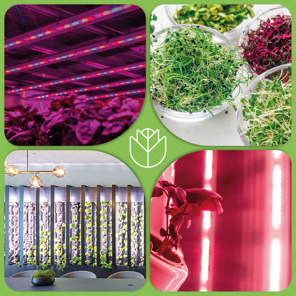 Vertically Urban tweet media