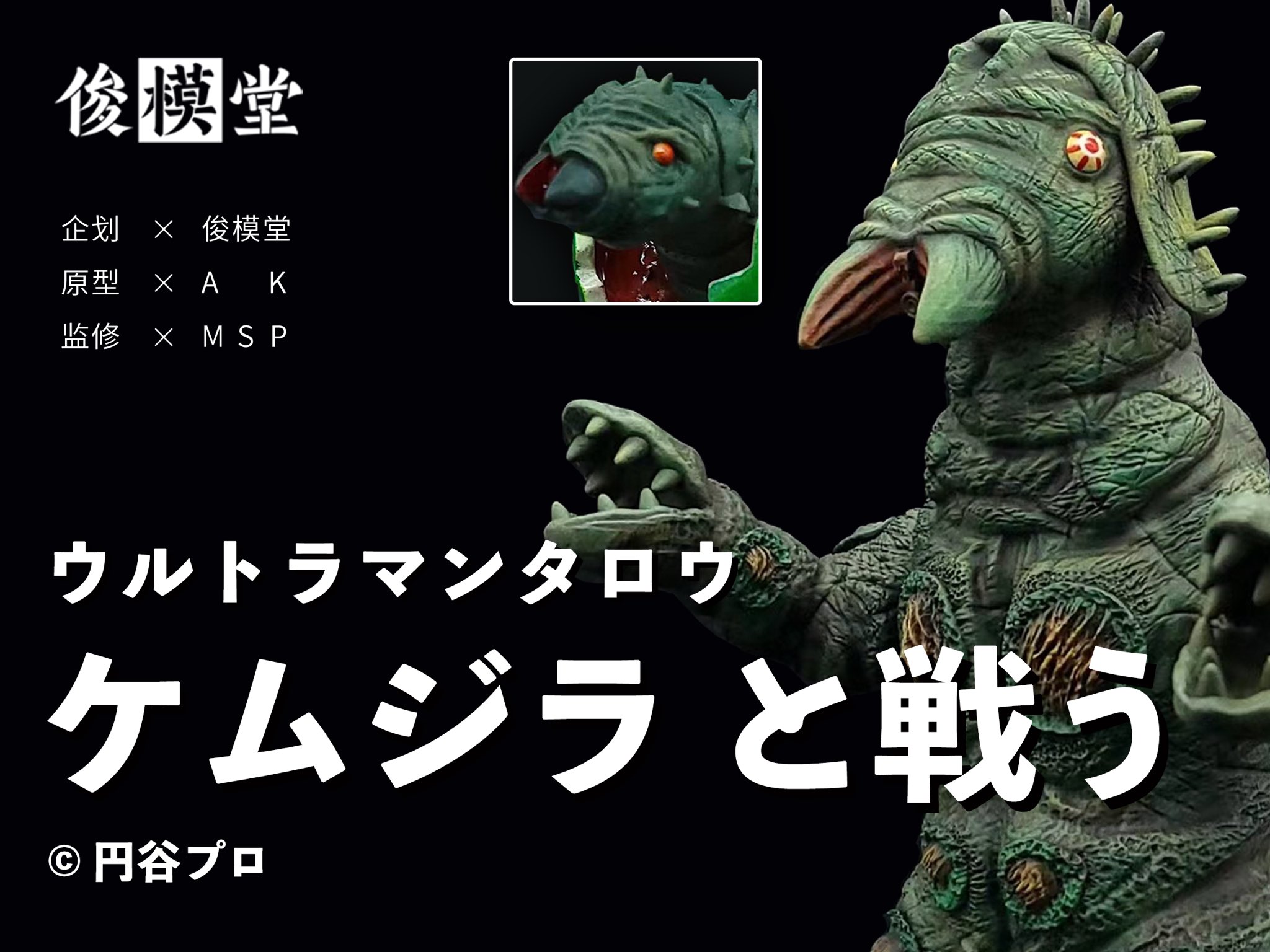 クリスマスローズ 俊模堂 モチロン ウルトラマンタロウ