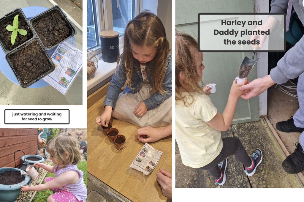 North Town Pippins tweet media