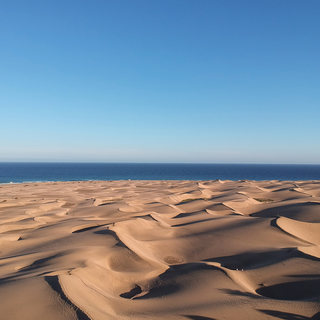 visitmaspalomas's tweet photo. 😍 #visitmaspalomas 
🌴 🌊 🏄🏼 ☀️ ⛱ 

#Maspalomas #Dunes #GranCanaria #islascanarias #lomas #canaryislands #visitspain #canarios5estrellas #spain #dunasmaspalomas #ocean #ilescanaries #beach #latituddevida #view #Meloneras #travel #goodvibes #travelphotography #outdoors https://t.co/0Nxtt14FE1