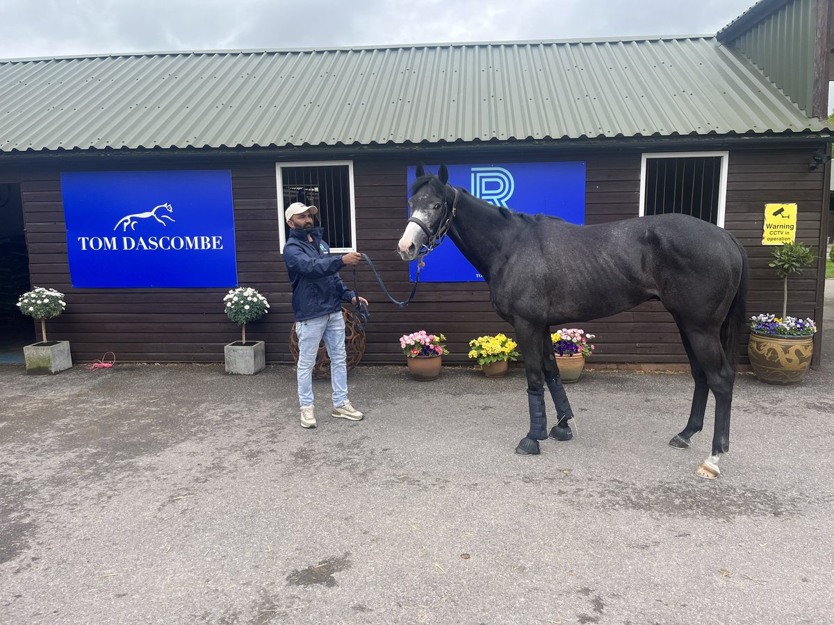 Tomorrow 10/05 <a href="/ChesterRaces/">chesterraces</a> we run Dan Dee Prince (Dandy Man x Karamaya) in the Lily Agnes over 5f at 1.30pm for <a href="/roudeeracing/">Roudeeracing</a> and Gifted Angel (Dark Angel x Sommorell) in the Maiden over 10f at 4.20pm for Derek Passant, both will be ridden by <a href="/RKingscote/">richard kingscote</a>. <a href="/agencyroute/">Route</a>