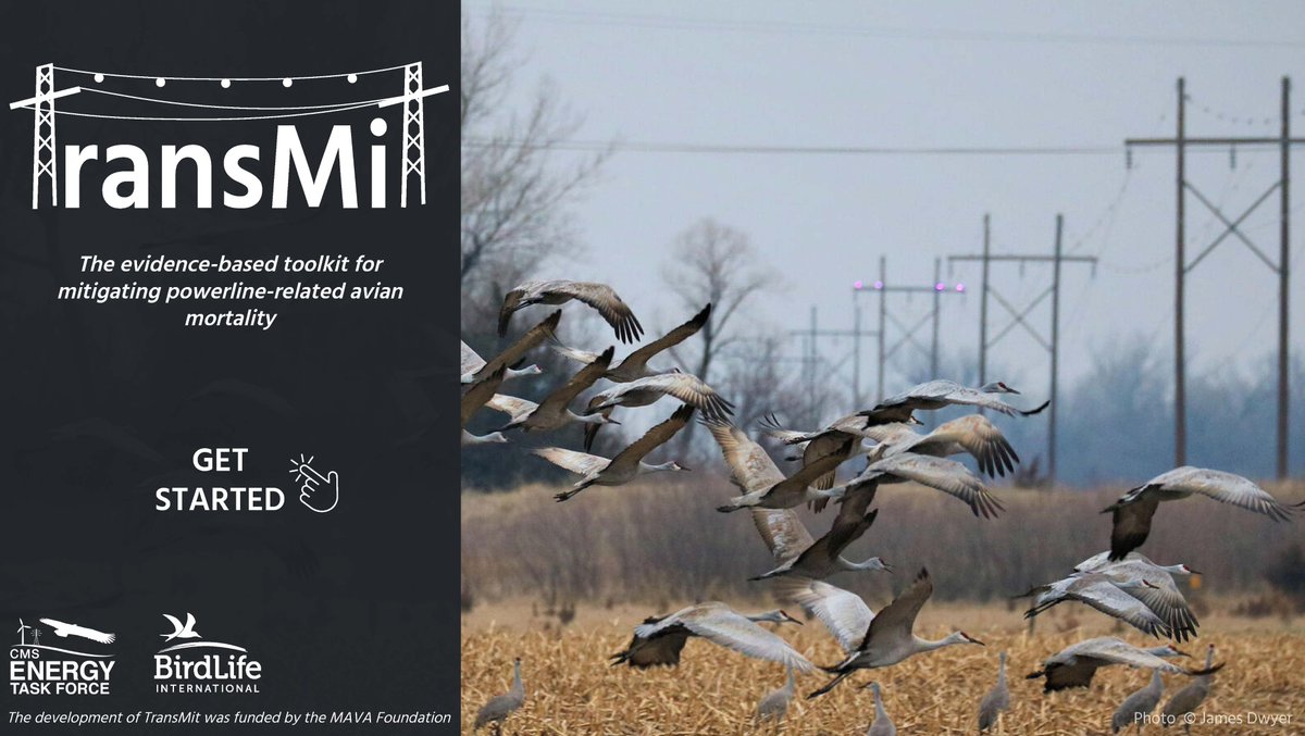 BirdLife_Sci's tweet photo. #Powerlines can pose a threat to #birds through collision and electrocution. 🦅⚡️

BirdLife and the CMS Energy Task Force recently launched TransMit: the evidence-based toolkit for mitigating powerline-related avian mortality.

Check it out here:
https://t.co/XS3gghfh4X https://t.co/s0o5Lhhxuh
