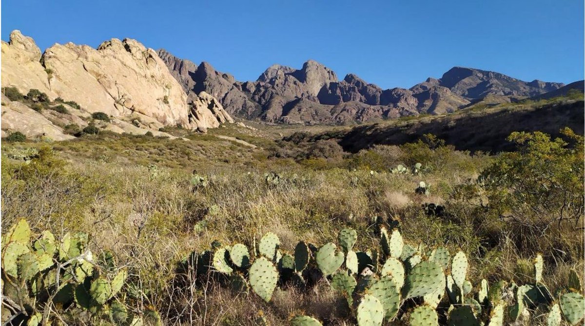 Commission 1.6 — Paleopedology tweet media