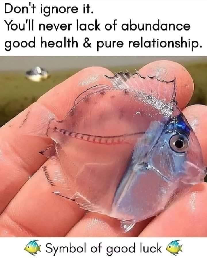 RETWEET for good luck.