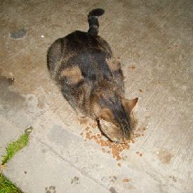 Постави ми питање | ask.fm/JohnWicliffe?u…