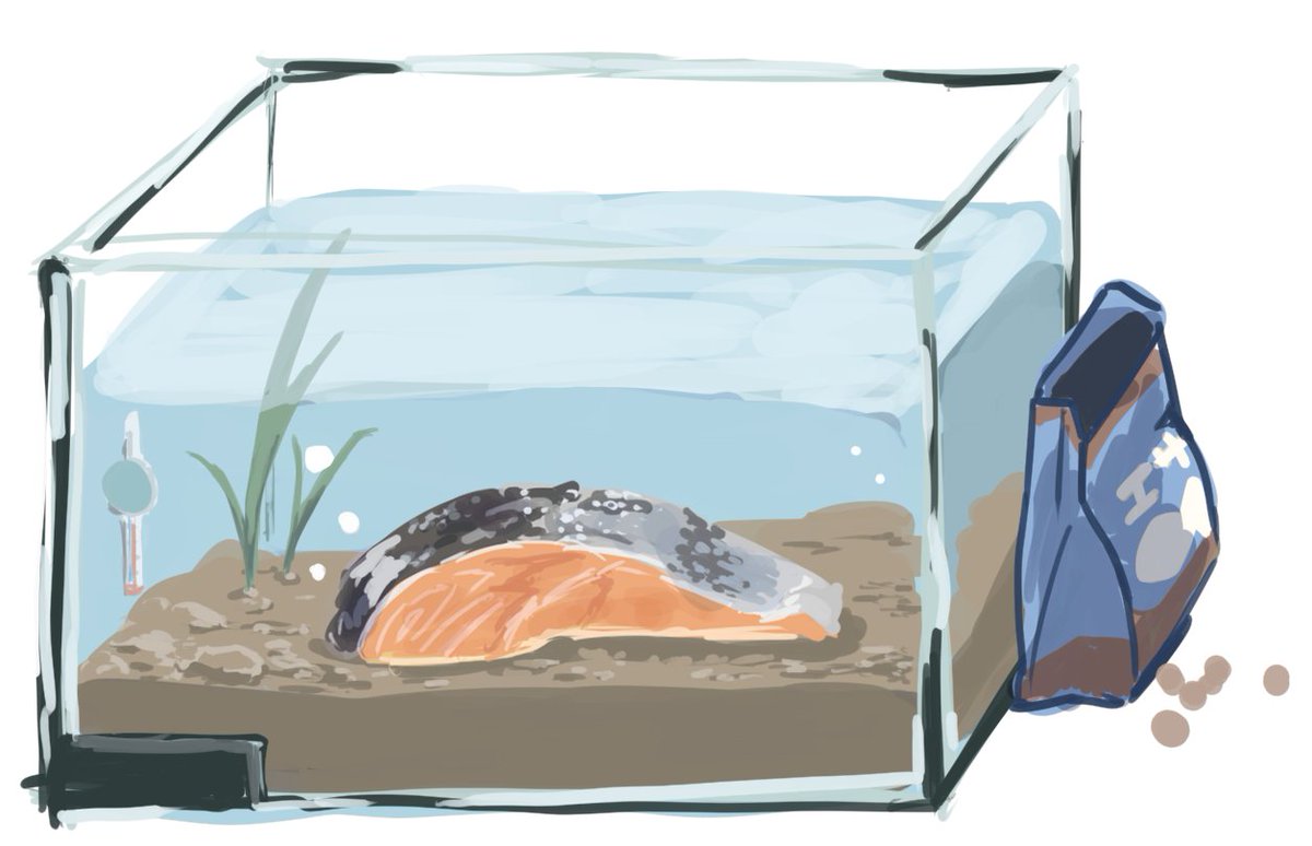 あずきち@KUA2-3 tweet media