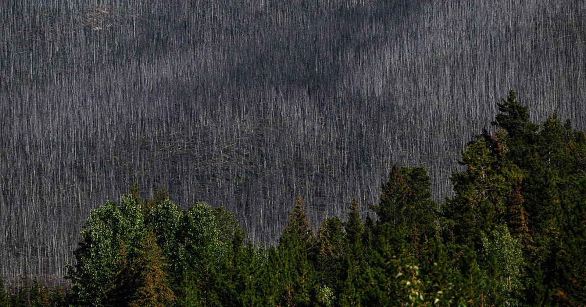 WIRED's tweet photo. Scientists have found that wildfires and human meddling are reducing northern ecosystems’ ability to sequester carbon which as result is accelerating climate change. https://t.co/jj8sIpcLRd

📸: Ed Jones/Getty Images https://t.co/rv3EYmoHPG