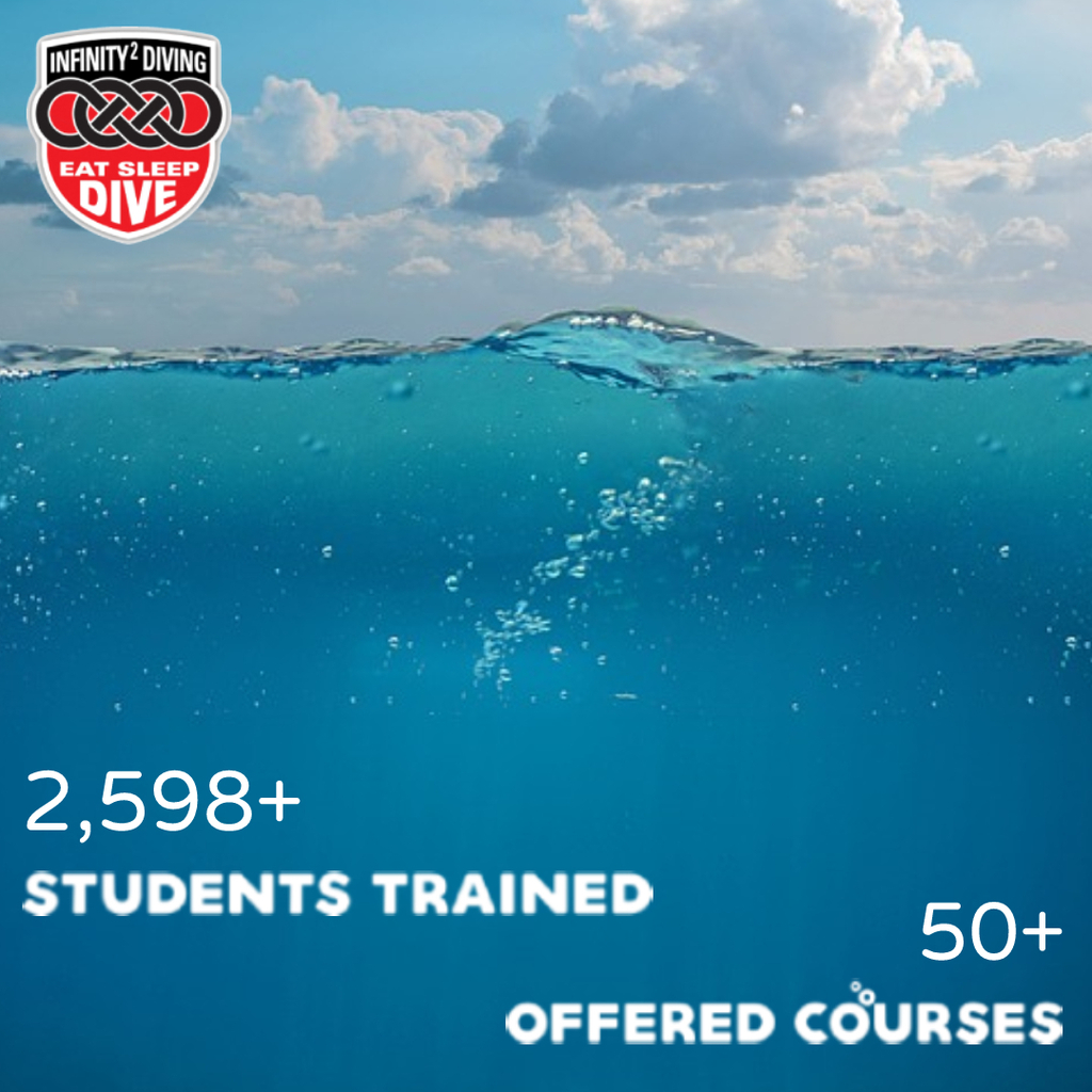 Dive o'clock PRO tweet media