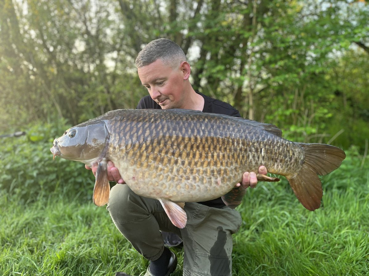 rob_carpy's tweet photo. It’s been a tough start to the year on “The Ball Breaker” to say the least. A few toys have been thrown out the pram, flooded out, lost fish. Then it all disappears when the rod tip clonks round at 5am, and this mega 29lb common graces you with its presence. https://t.co/RrnbYjOSXB
