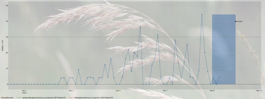 Nachdem der Peak der Birkenpollen nun überwunden wurde, fördert das sonnige Wetter die nächste Stufe des #Pollenkalenders. Seit Anfang Mai werden auch #Gräserpollen am ZAUM detektiert. Bis allerdings starke Allergiesymptome in München zu erwarten sind, wird es noch etwas dauern.