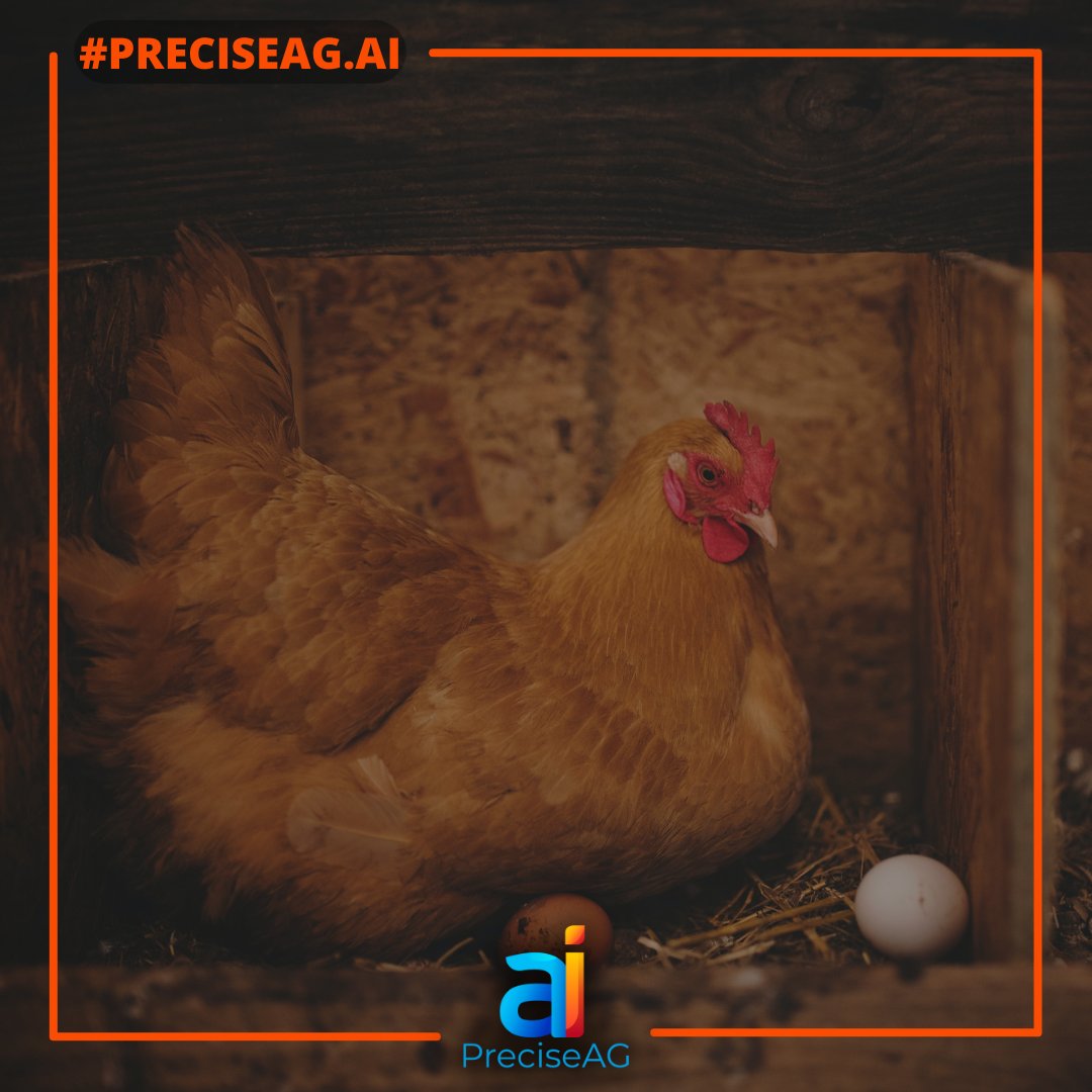 PreciseAGai's tweet photo. More on BioSecurity
https://t.co/jM4KhcAB8J brings A.I. to the farm:
https://t.co/oGza9aqEIr
#foodsecurity #smartpoultryhealth #biosecurity #bottombillion #PreciseAG.ai https://t.co/vlgkNcZH8Y