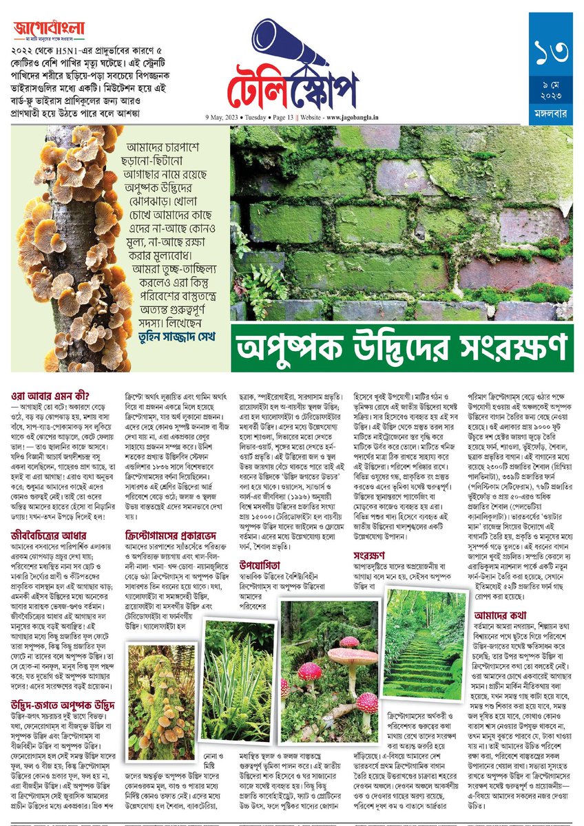 TUHINSAJJADSK1's tweet photo. Weeds got featured in my articles as cryptogams to get conserved.
#WritingCommunity #ScienceWriter
#naturelovers
#ScienceJournalist
#EnvironmentalJustice
#WritingCommnunity https://t.co/Ry7jnii9CX