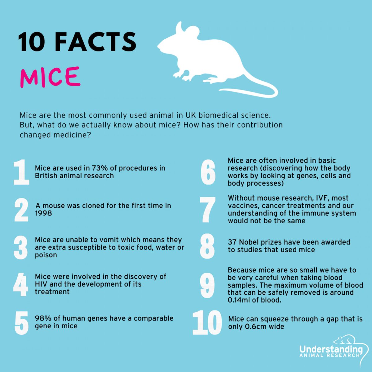 britsocimm's tweet image. It&apos;s #MiceInResearch Week, organised by @animalresearch to highlight why mice are so important to biomedical research 🔬

As a signatory of the #ConcordatOpenness, we&apos;re think it&apos;s essential to be transparent about #AnimalResearch

Get involved! ➡️bit.ly/3LNWq8Z