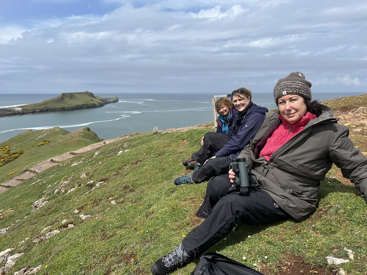 IoloWilliams2's tweet photo. The fog lifted, Rhosili looked stunning and cowslips were the stars of the show. @TadornaTours https://t.co/g277m4uR8Z
