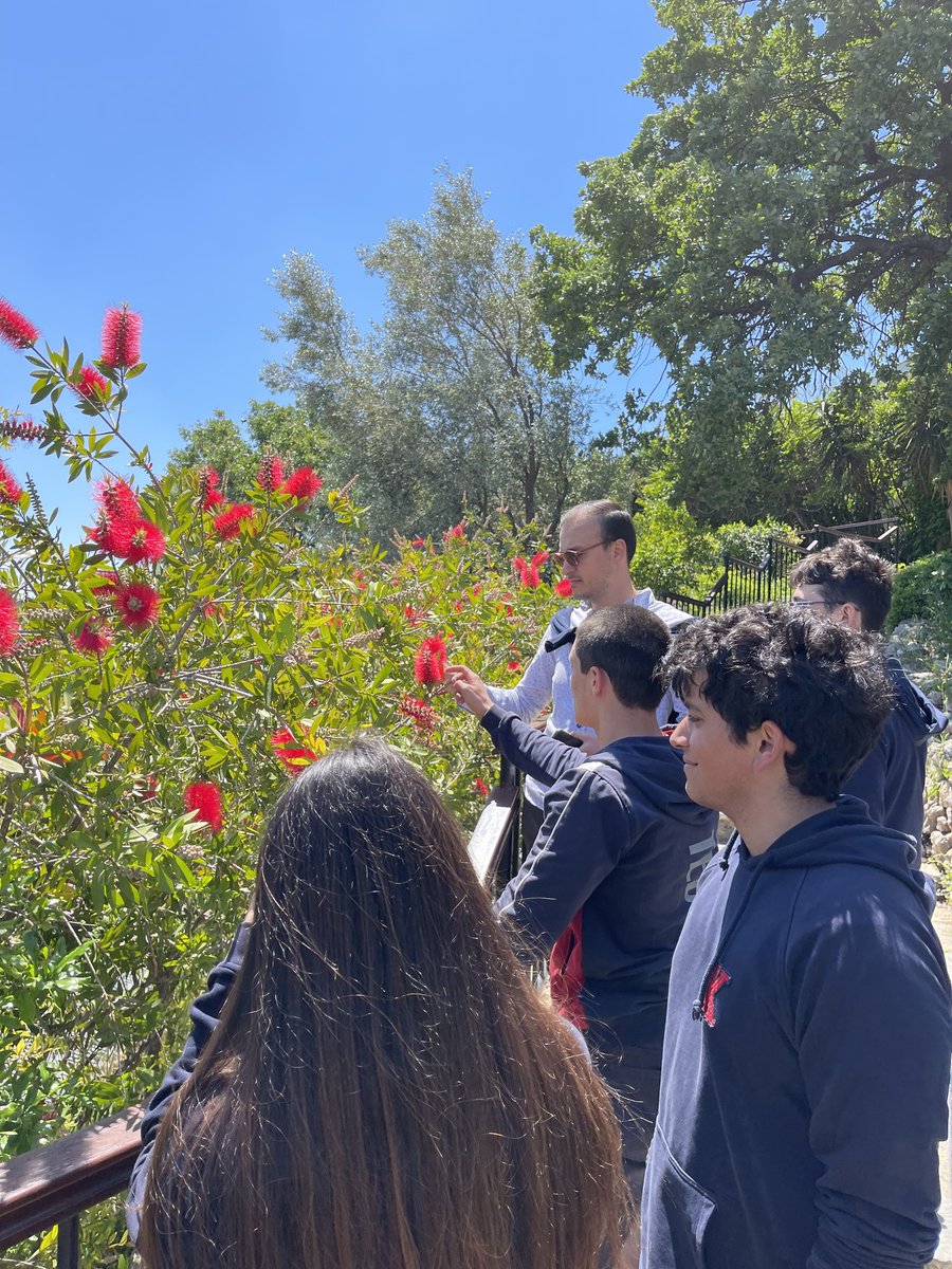 TEDBODRUM's tweet photo. 10. sınıf öğrencilerimiz Coğrafya dersinin temel becerisi olan "Arazide Çalışma" konusunu okulumuzun fiziki yapısını değerlendirerek pekiştirdiler. Defne, menengiç, zeytin gibi maki türlerini arazide birebir gözlemleyerek proje çalışmaları gerçekleştirdiler.
#tedbodrum https://t.co/cKXzUJVX7M
