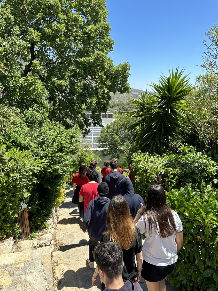 TEDBODRUM's tweet photo. 10. sınıf öğrencilerimiz Coğrafya dersinin temel becerisi olan "Arazide Çalışma" konusunu okulumuzun fiziki yapısını değerlendirerek pekiştirdiler. Defne, menengiç, zeytin gibi maki türlerini arazide birebir gözlemleyerek proje çalışmaları gerçekleştirdiler.
#tedbodrum https://t.co/cKXzUJVX7M