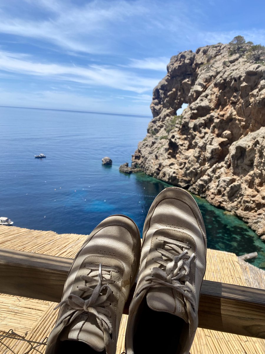 Christiane Wolff tweet media