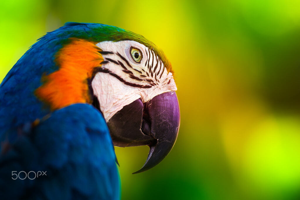 iNTeRNeT 2.0 tweet media