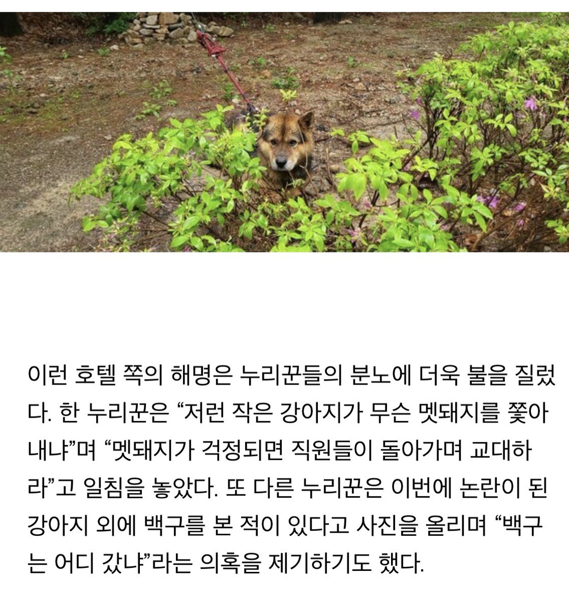 iamkimgosu's tweet photo. 가본적도 없지만 파라스파라 호텔 불매한다 비 많이 왔는데 저런다고! https://t.co/Igbq3kYU6u