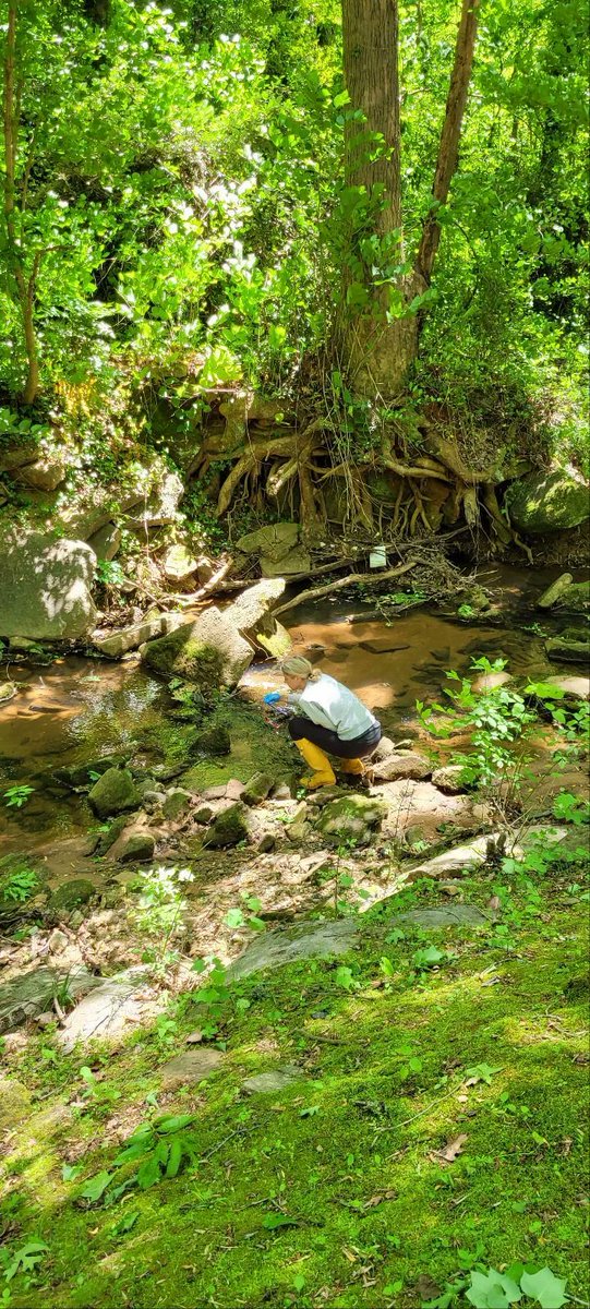 SustainingWay's tweet photo. Sophi, our Sustainable Agriculture VISTA, and a team of volunteers tested water stream quality for chemicals and bacteria for our Adopt-a-Stream section of waterway. This is very important to do to ensure that the water we use for drinking and recreation is clean and safe to use. https://t.co/eUNygZCdJn