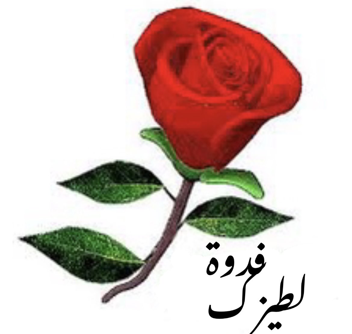 Th4mirr's tweet photo. @abddo_2 https://t.co/RbvgWPFkxf