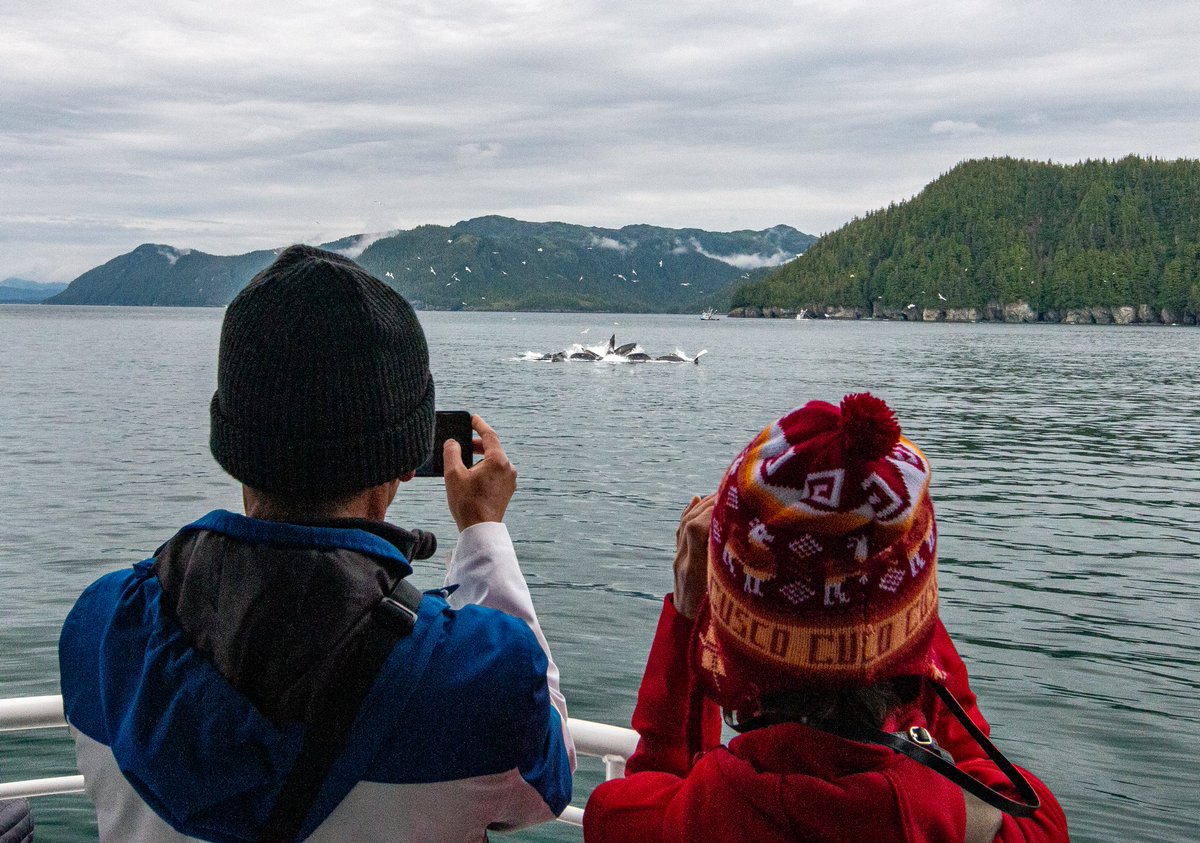 StanStephensAK's tweet photo. This week is National Travel and Tourism Week, and we’re celebrating the power of travel and its ability to bring people together, create unforgettable experiences and empower communities like ours! #TravelForward #NNTW23 #StanStephensCruises https://t.co/tsFXSDBTl9