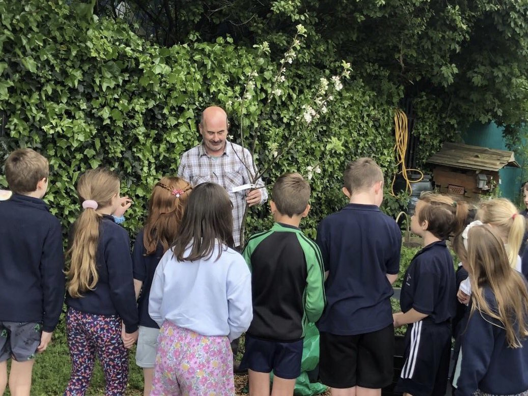 Gary helped 2nd Class plant an apple tree in the school garden today #greenschool <a href="/GreenSchoolsIre/">Green-Schools</a> 🍎 🍏