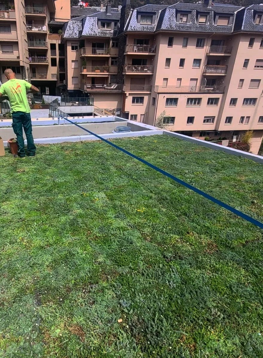 SempergreenESP's tweet photo. La empresa jardinería https://t.co/thOrIziI6Z  ha instalado recientemente una cubierta verde extensiva de 90 m2 en Andorra, la tierra de los Pirineos.

El sistema modular con bandejas de Sedum de Sempergreen es fácil de instalar. Incluye un sistema de riego de soporte. https://t.co/8bCwmGQ5Es