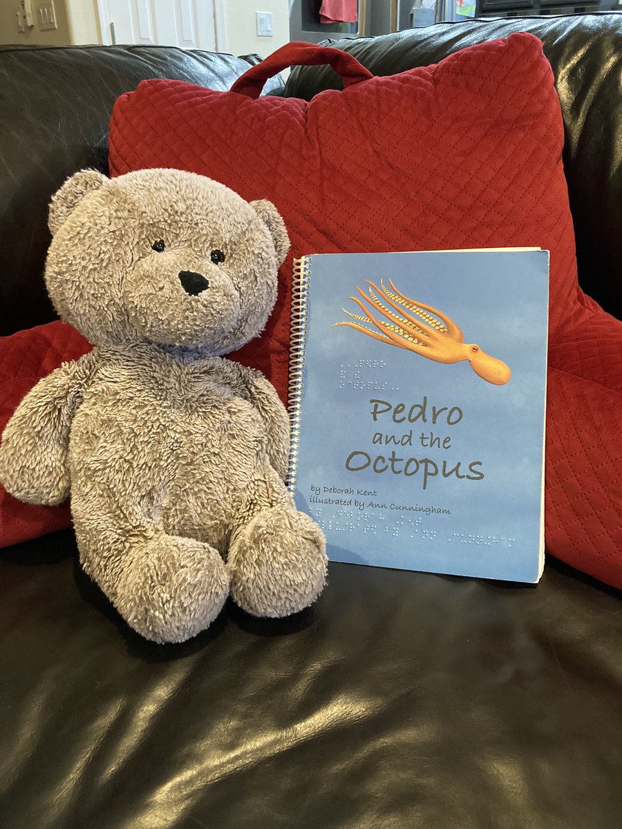 AAF_1919's tweet photo. Have a #BrailleReader resisting  reading out loud? Encourage them to read to a pet or favorite stuffed animal. Learn about the Braille Reading Pals Club, and our other early childhood initiatives from the American Action Fund, NOPBC, and @NFB_voice .  https://t.co/aWkYRpUjaM https://t.co/2TXT8VcHDH