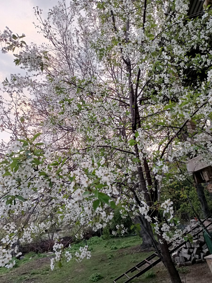 Sadece içimizi ısıtmaya ihtiyacımız vardı▪️