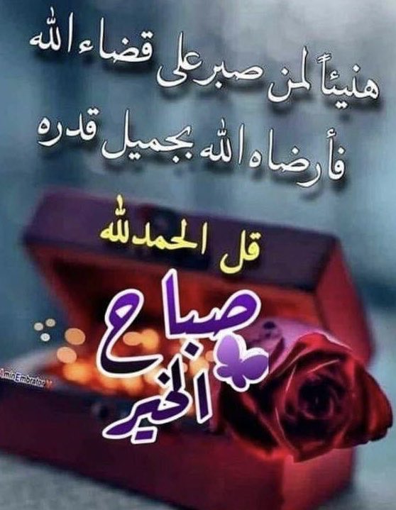mohsinabulohom's tweet photo. https://t.co/rRLQ5QXoNf