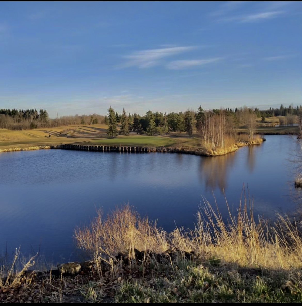 GooseHummockGR's tweet photo. View from hole 12 at the Goose! #goosehummock https://t.co/KXweFhGloJ