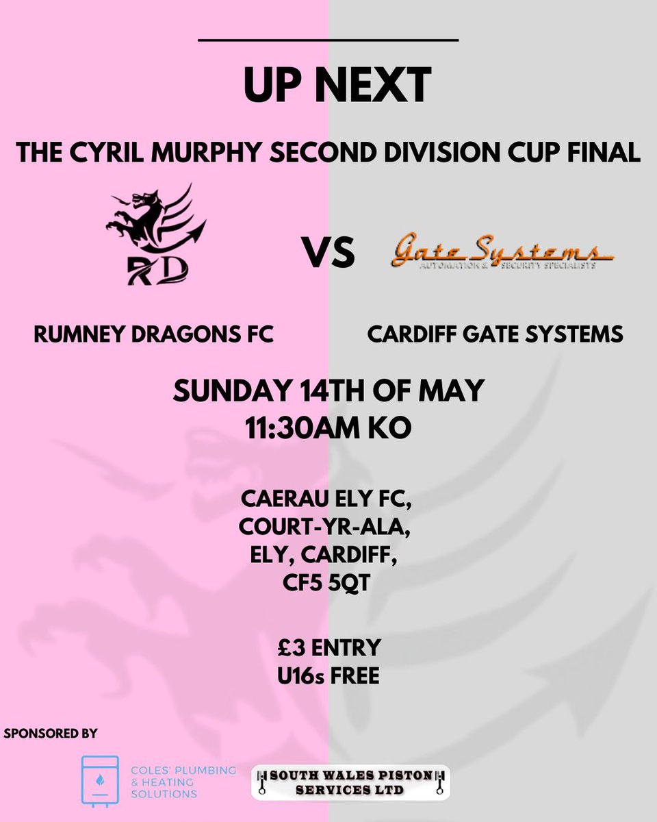 Rumney Dragons FC tweet media