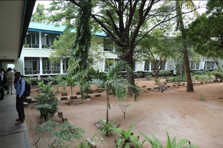 AfisaElim's tweet image. AZANIA SECONDARY SCHOOL

OWNER: TANZANIA GOVERNMENT

LOCATION: DAR ES SALAAM

💨Hivi Hawa na Tambaza Nani wakishua?😀